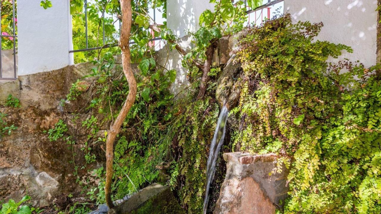 Molino Maroto Alhaurin El Grande By Ruralidays Vila Exterior foto